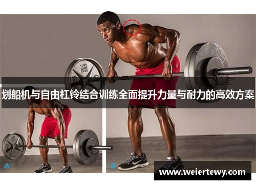 划船机与自由杠铃结合训练全面提升力量与耐力的高效方案