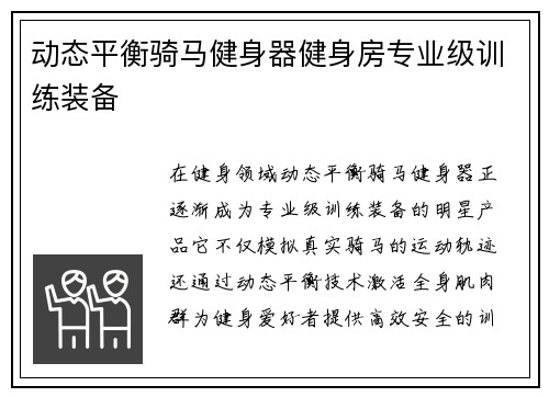 动态平衡骑马健身器健身房专业级训练装备