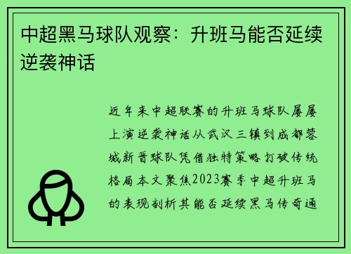中超黑马球队观察：升班马能否延续逆袭神话